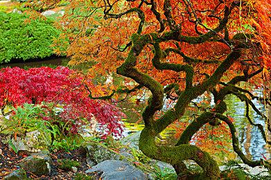 左手翻云右手覆雨 武侠角色扮演游戏《侠之信条》1月26日登陆Steam