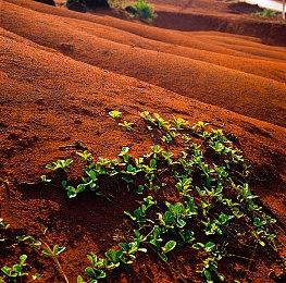 《仙剑奇侠传7》DLC人间如梦上线 首发优惠价16.2元