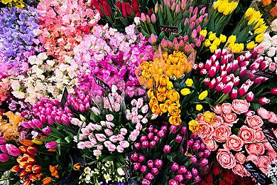 Steam新一周销量榜 Steam deck继续登顶